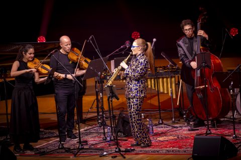 Credit Zdenko Hanout