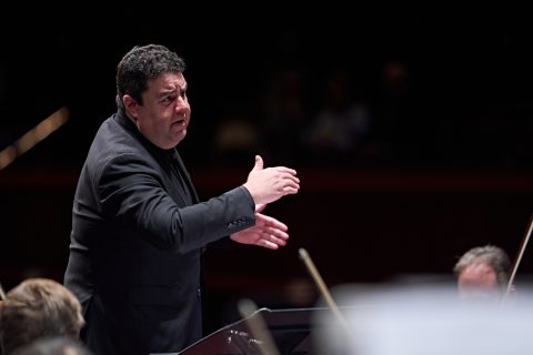 Credit: Rob Davidson